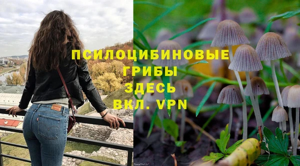 круглые Арсеньев
